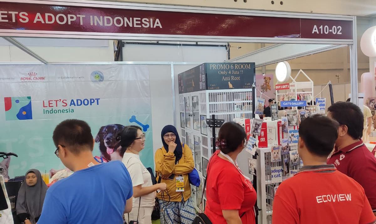 adopsi-kucing-di-iip-e2025-indonesia