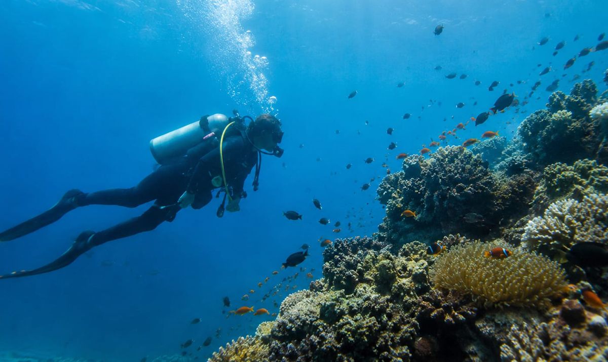 aktivitas-diving-deep-extreme-indonesia