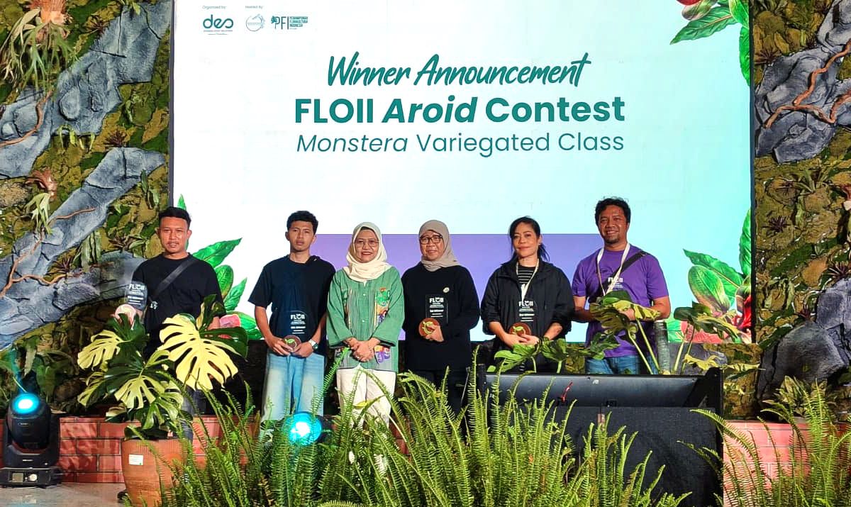 kikan-namara-aroid-contest-floii