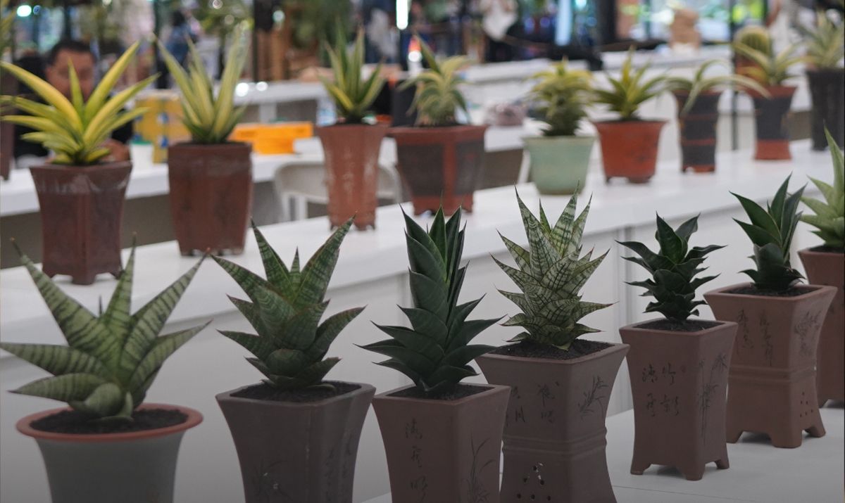 koleksi-tanaman-hias-floii-expo-2026