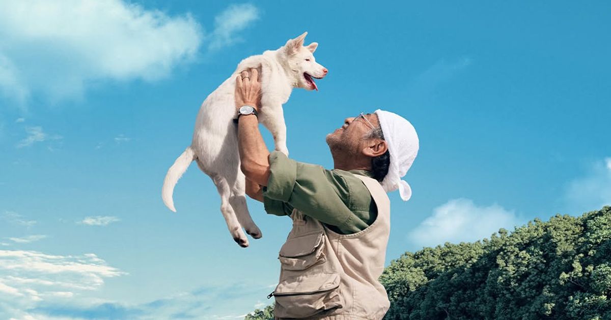 Review Film Thailand GOHAN: Kisah Anjing Liar yang Menguras Air Mata Siap Tayang 14 Mei 2026