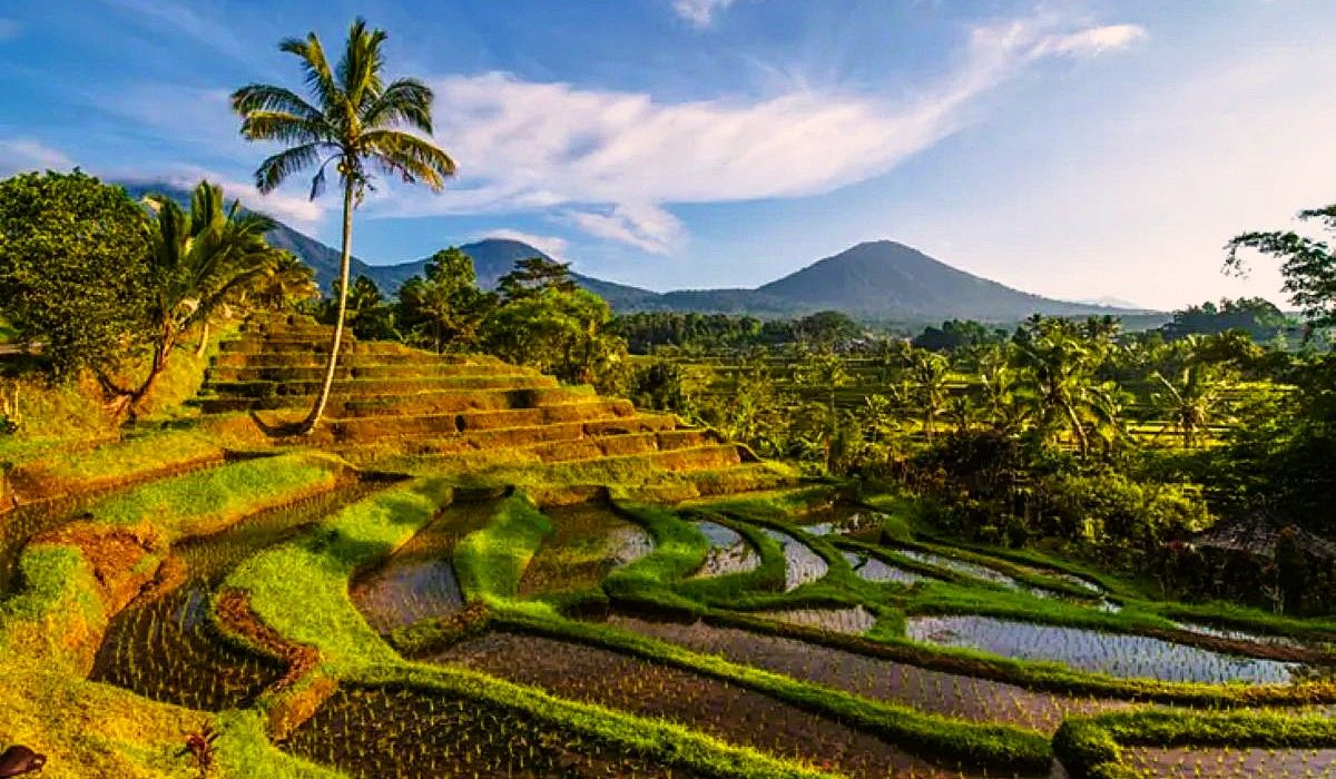 Jatiluwih Bali, Desa Wisata Pegunungan yang Mendunia