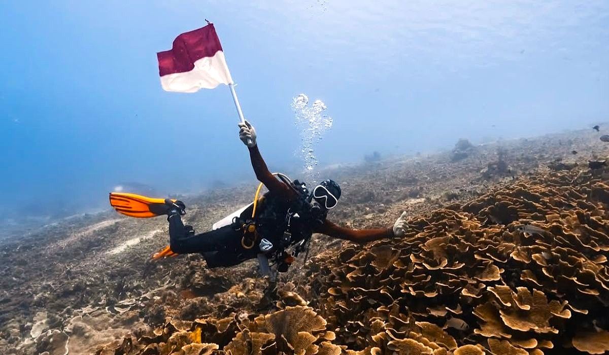 Maratua Bidik Wisatawan Selam Malaysia dan Singapura, Pasar Bahari Diperluas