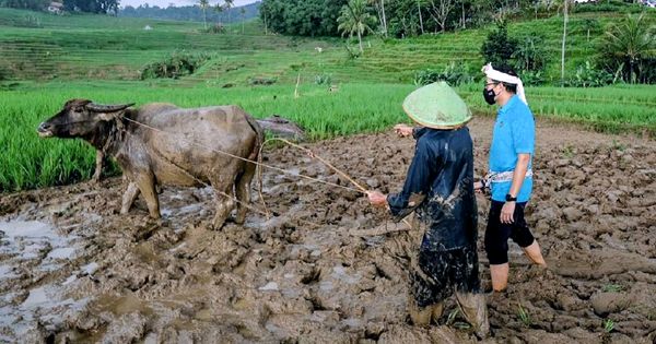 Kemenparekraf Targetkan 100 Desa Wisata di Majalengka Partisipasi Di ADWI 2022