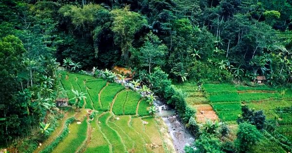 Libur Lebaran 2022 Desa Wisata Jadi Destinasi Unggulan Kabupaten Semarang