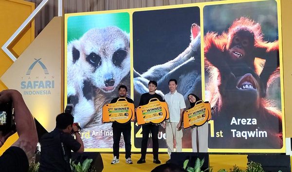 Capai Lebih Dari 8.000 Peserta, Ini Dia Pemenang International Photo & Video Animal Contest 2024