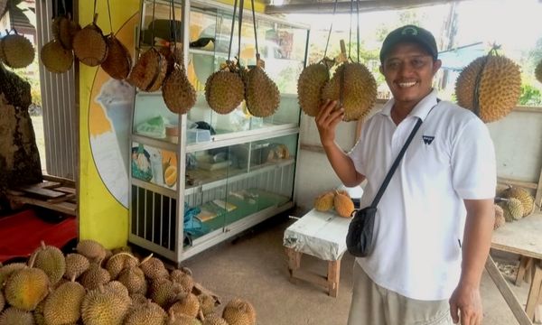 Gendhis Durian Banyumas, Destinasi Wisata Rasa Durian