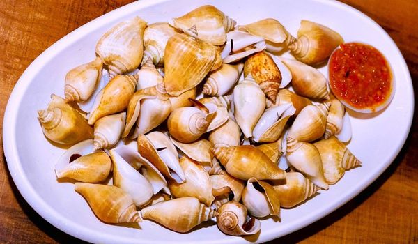 Gonggong, Warisan Kuliner Bahari Khas Kepulauan Riau