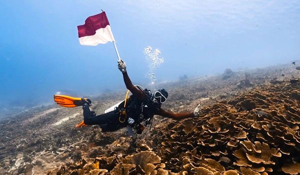 Maratua Bidik Wisatawan Selam Malaysia dan Singapura, Pasar Bahari Diperluas