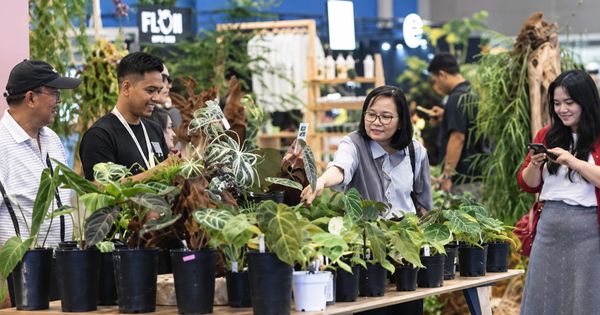 FLOII Expo 2026 Hari Kedua Makin Seru, Ada Aquascape, Terrarium hingga Workshop Hoya
