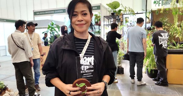 Kikan Namara Raih Posisi Ketiga di FLOII Aroid Contest, Makin Jatuh Cinta pada Monstera